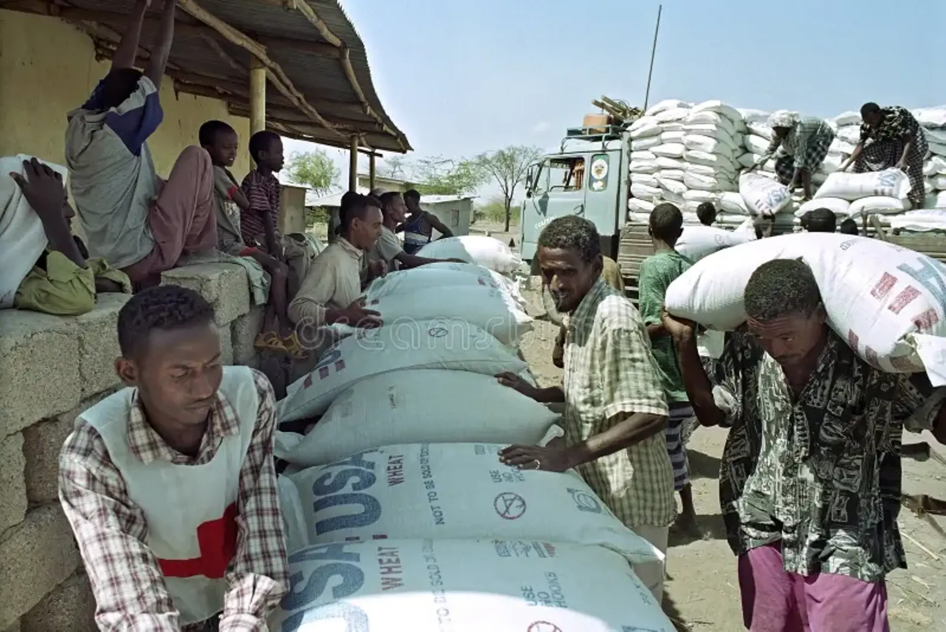 Supply Food Aid Afar Red Cross Ethiopia Region Ethnic Group Semi Nomadic Livestock Farmers There Threat 98435994